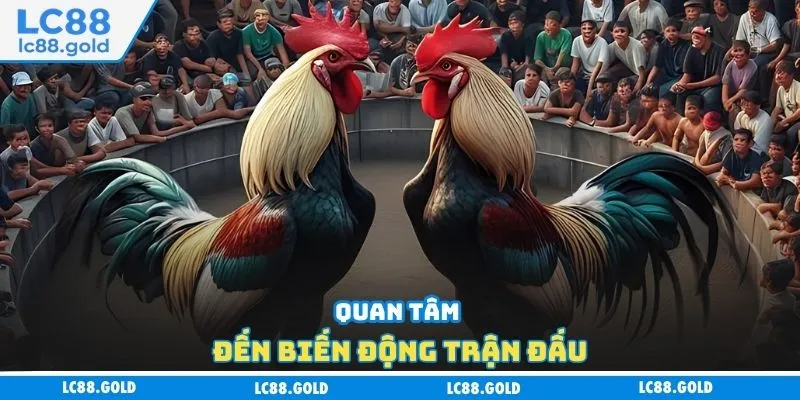 Quan tâm đến biến động trận đấu Quan tâm đến biến động trận đấu